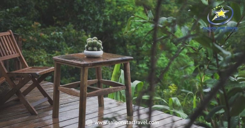Du Lịch Đà Lạt Mùa Mưa Và Mẹo Vui Chơi Bất Chấp Thời Tiết | Saigon Star Travel Đà Lạt mùa mưa tháng mấy? Đầu tháng 5 đã có mưa