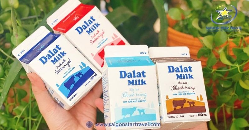 Dalat Milk Farm - Cảnh Sắc Mỹ Lệ Tựa Chốn Cổ Tích Đời Thực | Saigon Star Travel Lúc về nhớ mua sữa trực tiếp ở đây