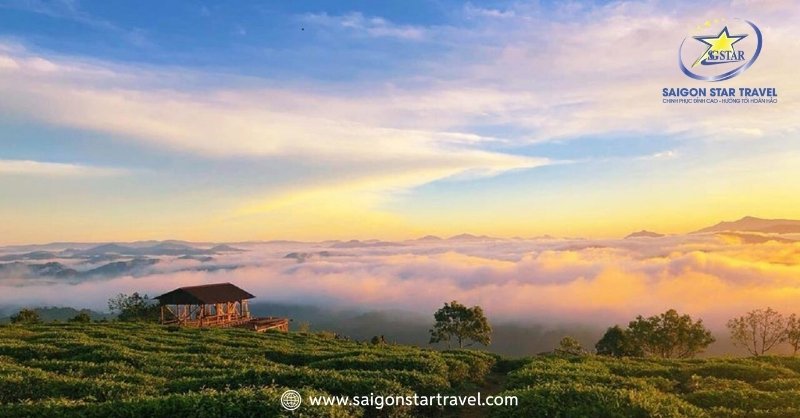 Đi Đà Lạt Chuẩn Bị Gì? Cẩm Nang Từ A-Z Cho Chuyến Đi | Saigon Star Travel Thời tiết mùa thu ở Đà Lạt
