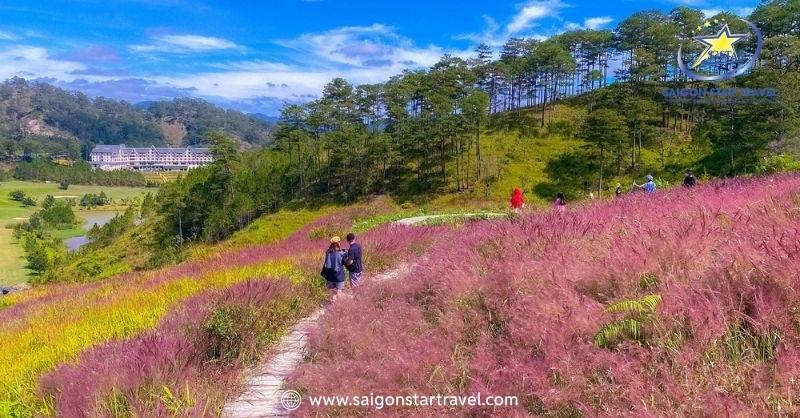 Đi Đà Lạt Chuẩn Bị Gì? Cẩm Nang Từ A-Z Cho Chuyến Đi | Saigon Star Travel Thời tiết mùa xuân ở Đà Lạt
