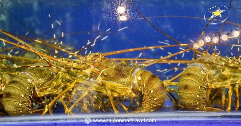 Buffet Hải Sản Đà Lạt - Biển Cả Gửi Gắm Vào Cao Nguyên | Saigon Star Travel Nhà Hàng Hải Sản Đại Dương - Điểm Đến Cho Mọi Nhà