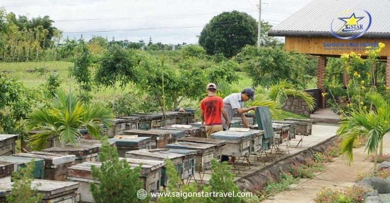 Tour Gia Đình Có Trẻ Em - Tour Đà Lạt Trong Ngày Giá Rẻ | Saigon Star Travel Nông Trại Ong - Bee Farm được trực tiếp coi quy trình nuôi ong