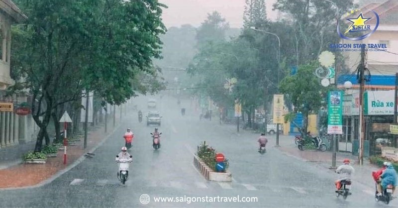 Du Lịch Đà Lạt Mùa Mưa Và Mẹo Vui Chơi Bất Chấp Thời Tiết | Saigon Star Travel Ưu Tiên Phương Tiện Di Chuyển Linh Hoạt, Dễ Dàng