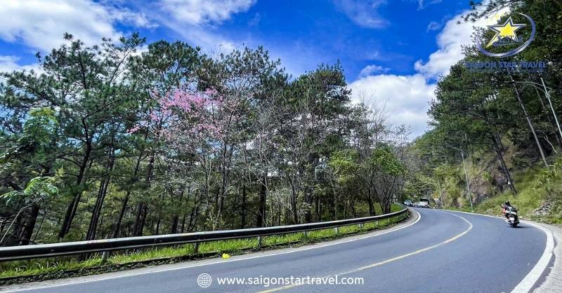 Review Tất Cả Về Du Lịch Đà Lạt Tự Túc Cho Người Mới | Saigon Star Travel Các Điểm Đến Quanh Đèo Prenn