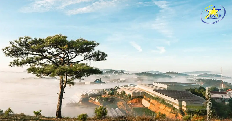 Top 10+ Địa Điểm Săn Mây Đà Lạt View Cực Đẹp | Saigon Star Travel Săn mây tại Đồi Thiên Phúc Đức