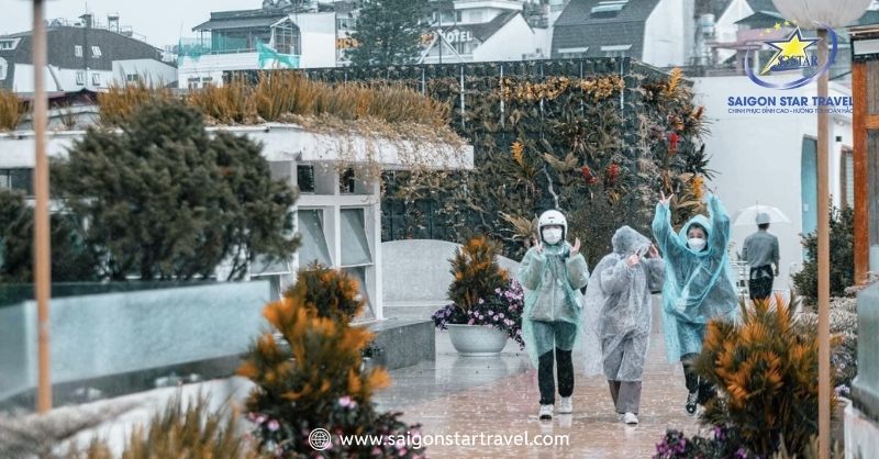 Du Lịch Đà Lạt Mùa Mưa Và Mẹo Vui Chơi Bất Chấp Thời Tiết | Saigon Star Travel Săn mây tháng 6 đến giữa tháng 8 đẹp nhất vào mùa mưa