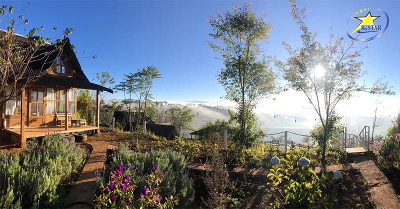 Top 10+ Địa Điểm Săn Mây Đà Lạt View Cực Đẹp | Saigon Star Travel Bình Yên House