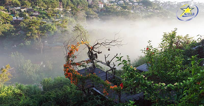 Top 10+ Địa Điểm Săn Mây Đà Lạt View Cực Đẹp | Saigon Star Travel Một góc tại Cú Trên Cây Homestay