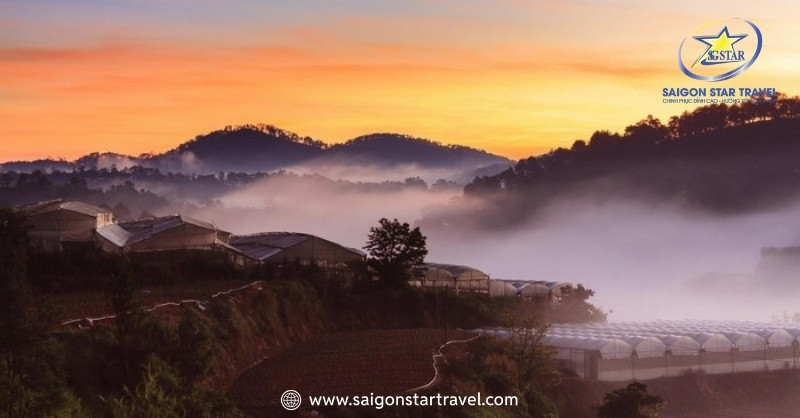 Du Lịch Trại Mát Đà Lạt - Bỏ Túi Kinh Nghiệm Mới Nhất 2025 | Saigon Star Travel Khi cắm trại tại đây bạn sẽ bắt gặp khung cảnh lung linh, tuyệt hảo khi màn đêm buông xuống