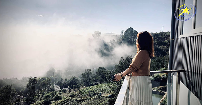 Top 10+ Địa Điểm Săn Mây Đà Lạt View Cực Đẹp | Saigon Star Travel Ngắm trọn mây tại The Diff House