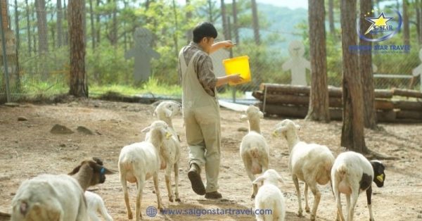 Zoodoo là vườn thú thân thiện đầu tiên tại Việt Nam