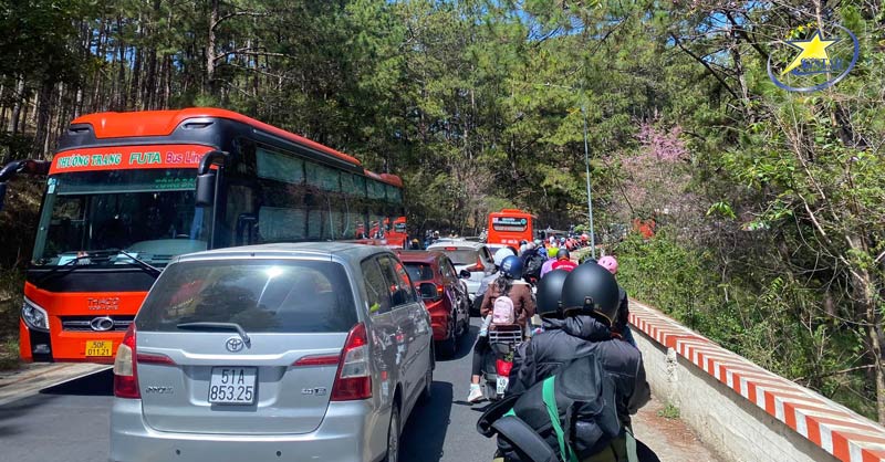 Những Gợi Ý Cho Chuyến Du lịch Đà Lạt Tết 2024 | Saigon Star Travel Tắc đường mùa Lễ, Tết tại Đà Lạt