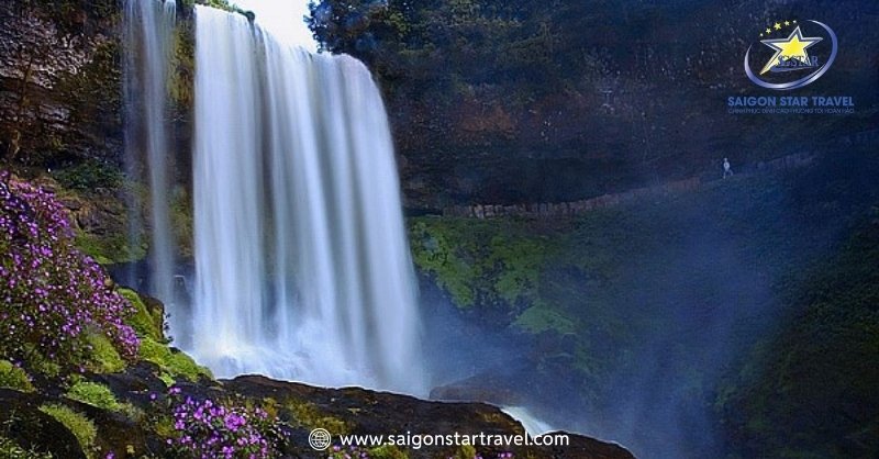 Kinh Nghiệm Đi Khu Du Lịch Thác DamBri Mới Nhất 2025 | Saigon Star Travel Thác Dambri là thác nước cao nhất thuộc tỉnh Lâm Đồng