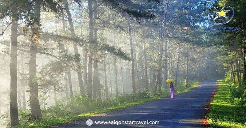 Du Lịch Đà Lạt Tháng Mấy Đẹp Nhất Để Tận Hưởng Trọn Vẹn | Saigon Star Travel Đà Lạt vào tháng 1 đến tháng 4