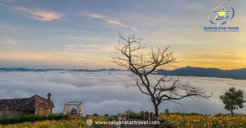Du Lịch Đà Lạt Tháng Mấy Đẹp Nhất Để Tận Hưởng Trọn Vẹn | Saigon Star Travel Đà Lạt từ tháng 5 đến tháng 9