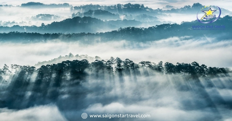 Đà Lạt Tháng 7 Mùa Sương Bạc Có Gì Đặc Biệt Đến Vậy? | Saigon Star Travel Đà Lạt tháng 7 mùa hè - mùa của màu xanh cây cỏ