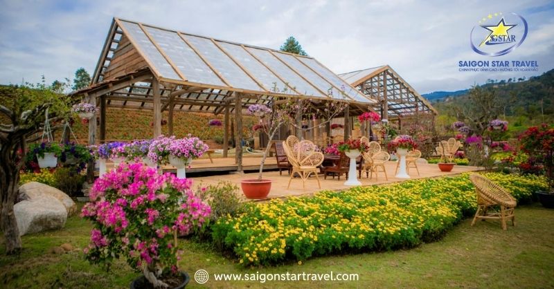 Đà Lạt Tháng 1 Có Gì? - Tháng Của Sự Sung Túc Của Mọi Nhà | Saigon Star Travel The Florest – Hoa Trong Rừng là điểm check-in nổi bật ở Đà Lạt
