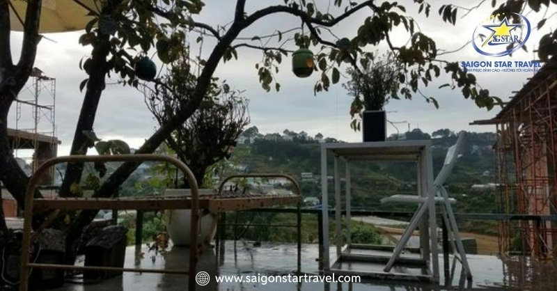 TOP 12 Homestay Đà Lạt Bình Dân, Bạn Nên Trải Nghiệm | Saigon Star Travel Homestay ấm ấp chính là The Shelter Gallery Home