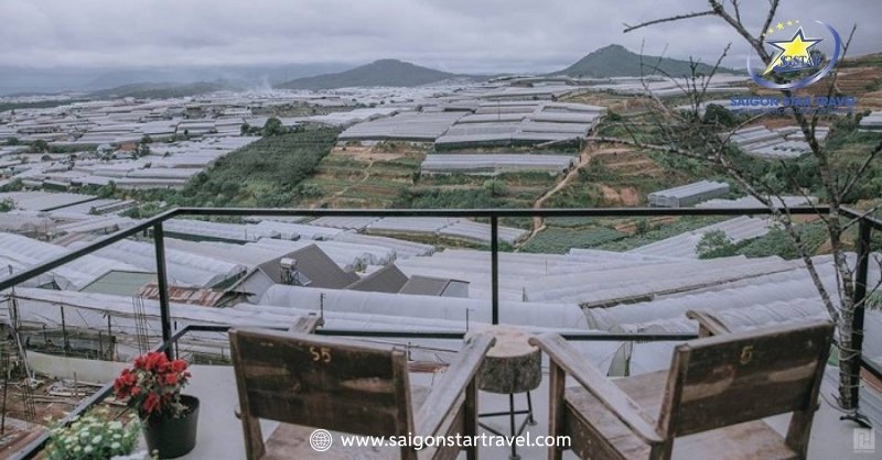Du Lịch Trại Mát Đà Lạt - Bỏ Túi Kinh Nghiệm Mới Nhất 2025 | Saigon Star Travel Hoặc từ tháng 5 đến tháng 9 đối với các cặp đôi tuần trăng mật