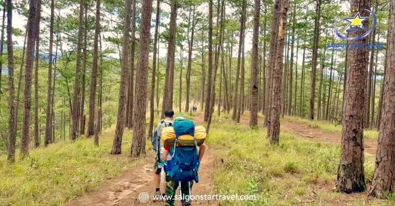 Núi Langbiang Đà Lạt - Điểm Đến Không Thể Bỏ Qua Ở Đà Lạt | Saigon Star Travel Mùa xuân là thời điểm lý tưởng để tham quan núi LangBiang