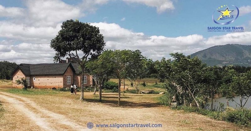 Dalat Milk Farm - Cảnh Sắc Mỹ Lệ Tựa Chốn Cổ Tích Đời Thực | Saigon Star Travel Nên tham quan nông trại bò sữa Đà Lạt vào buổi sáng