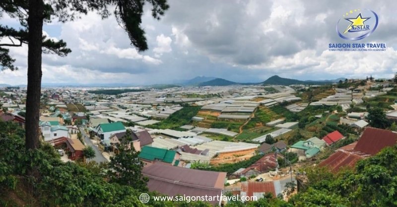 Du Lịch Trại Mát Đà Lạt - Bỏ Túi Kinh Nghiệm Mới Nhất 2025 | Saigon Star Travel Nên đi Trại Mát phường 11 tp Đà Lạt Lâm Đồng vào tháng 1 đến tháng 4 hằng năm