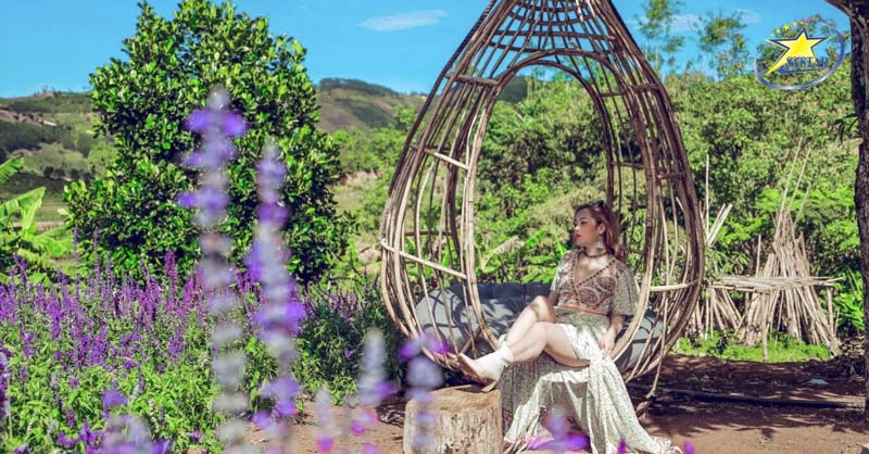 Những Gợi Ý Cho Chuyến Du lịch Đà Lạt Tết 2024 | Saigon Star Travel Check-in tại Thung lũng hoa Tà Nung