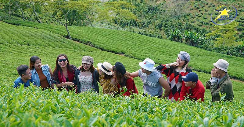 Trải nghiệm tour tham quan Đồi Chè