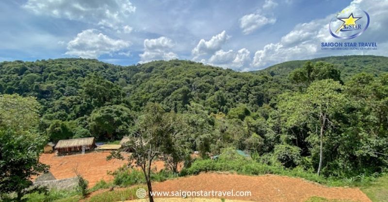 Hoa Sơn Điền Trang – Thiên Đường Sống Ảo Triệu Like | Saigon Star Travel Giá vé tham quan khu du lịch sinh thái Hoa Sơn Điền Trang Đà Lạt