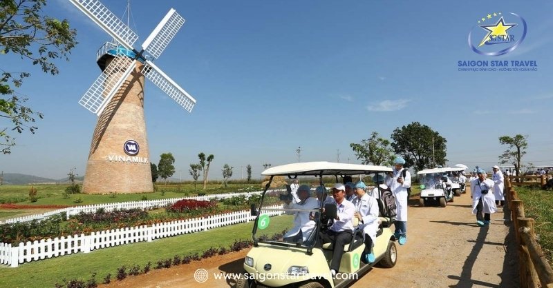 Đà Lạt Tháng 11 Gây Thương Nhớ, Như "Người Tình Thứ 2" | Saigon Star Travel Tham quan Vinamilk organic milk farm