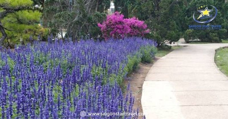 Du Lịch Nhà Vườn Đà Lạt Góc Nhìn Mới Về Thành Phố Hoa | Saigon Star Travel Vườn hoa thành phố - Nhà vườn ở Đà Lạt