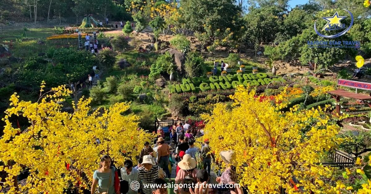 Đoàn khách công ty tham gia hành trình chinh phục đỉnh núi cùng Saigon Star Travel