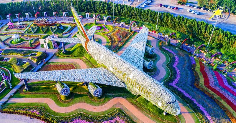 Tour Dubai Abu Dhabi 5 Ngày 4 Đêm | Khám phá Dubai | Saigon Star Travel Mô hình hoa lắp đặt lớn nhất thế giới tại Miracle Garden