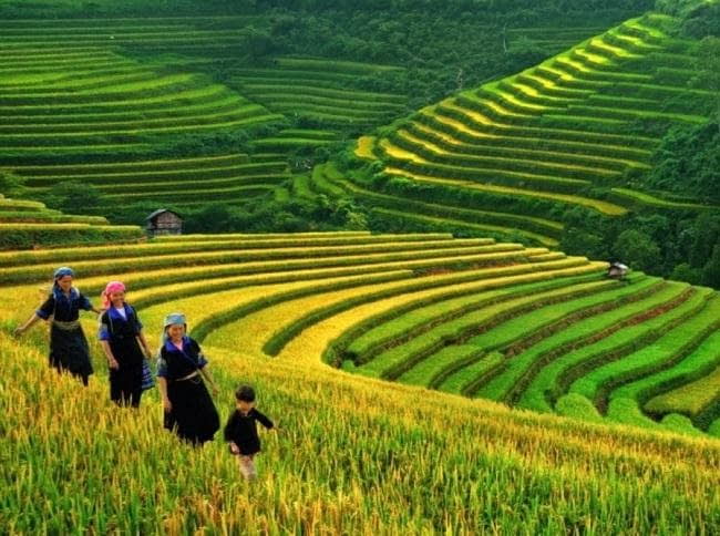 Top các địa điểm du lịch Tết Nguyên Đán 2025 hấp dẫn | Saigon Star Travel Du lịch Hà Giang nên đi đâu?