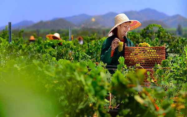 Hua Hin Thái Lan - Thiên đường nghỉ dưỡng tuyệt vời | Saigon Star Travel du-lich-hua-hin-thai-lan-544-4