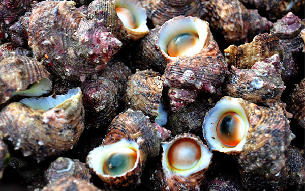 Du lịch khám phá Hang Rái - thác nước trên biển ở Ninh Thuận | Saigon Star Travel du-lich-kham-pha-hang-rai-tuyet-dep-ninh-thuan-8