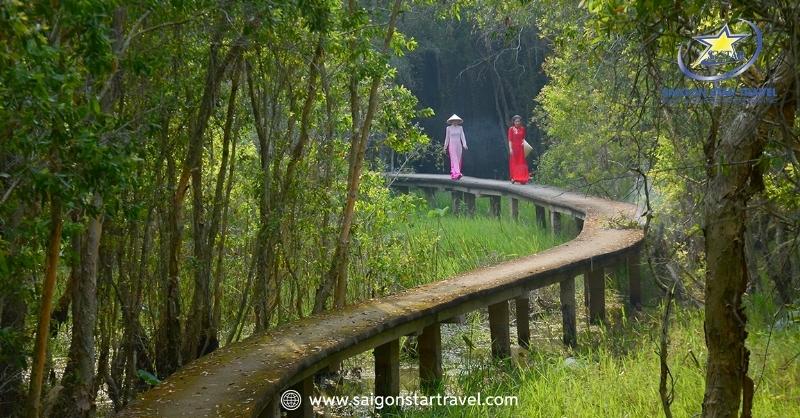 Dạo bước trên trên con đường xuyên rừng tràm hoang sơ