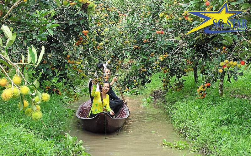 Du lịch miền Tây nên đi tỉnh nào – Khám phá địa điểm đẹp nhất miền Tây | Saigon Star Travel Du lịch miền Tây nên đi tỉnh nào – Khám phá địa điểm đẹp nhất miền Tây