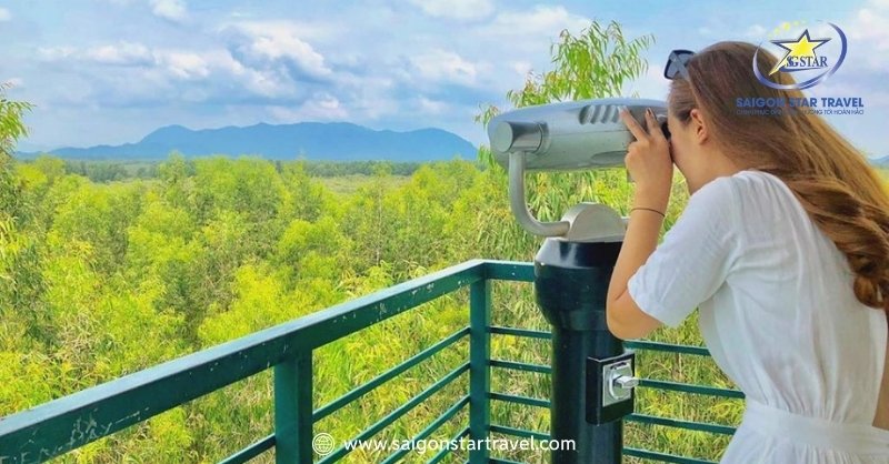 Ngắm toàn cảnh từ tháp quan sát