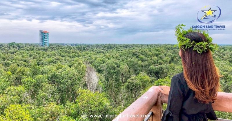 Ngắm rừng tràm trên tháp quan sát | Tour Du Lịch Làng Nổi Tân Lập 1 Ngày