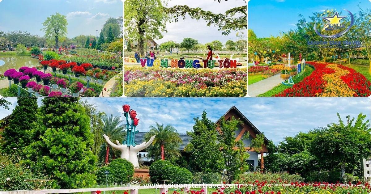 Tham quan Vườn hồng Tư Tôn