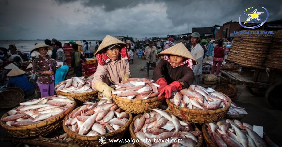 Hải sản vừa được đánh bắt