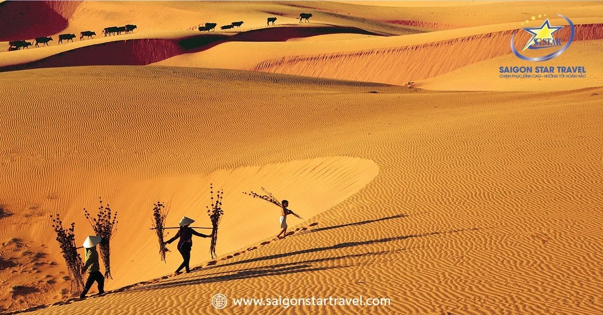 Đồi Cát Bay - Đồi cát giữa miền biển