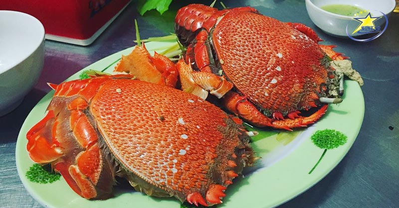 Top 10 Món Hải Sản Mũi Né Ngon Không Cưỡng Nổi | Saigon Star Travel Cua Huỳnh Đế Mũi Né