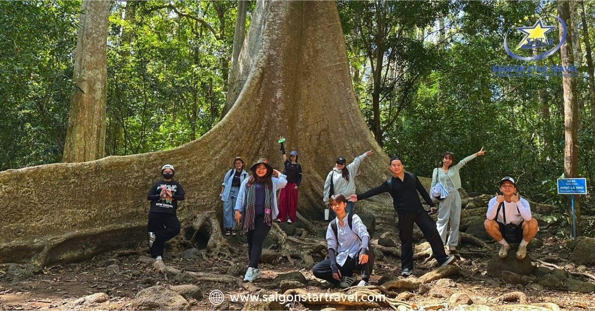 Check-in Cây Tung Cổ Thụ