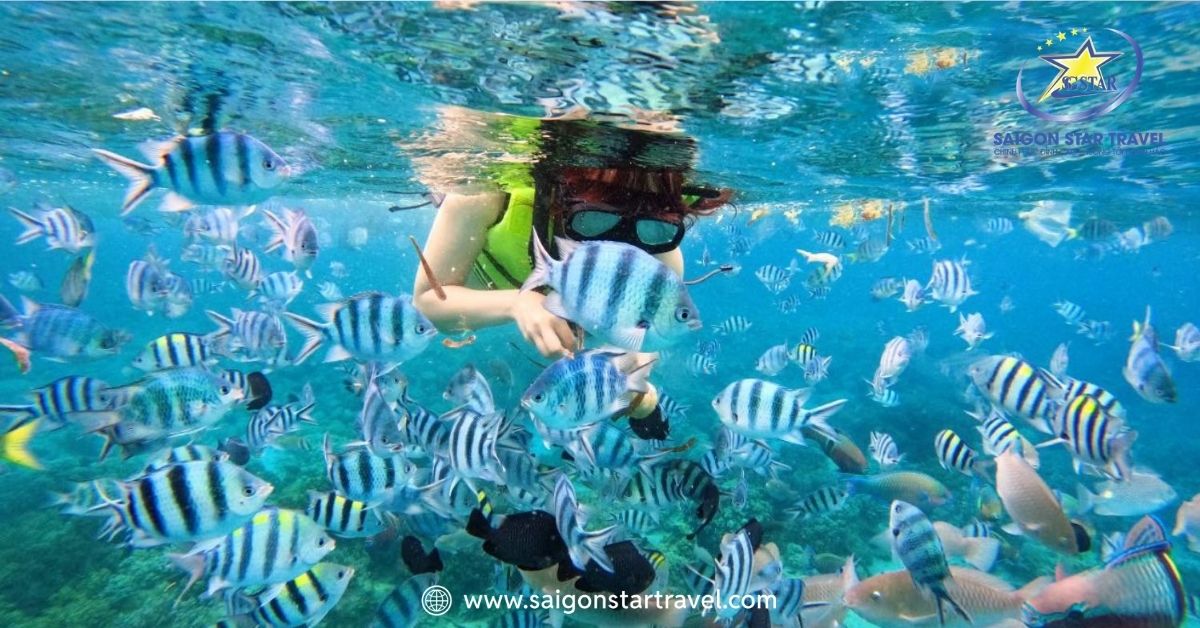 Bơi snorkeling Hòn Mun Nha Trang