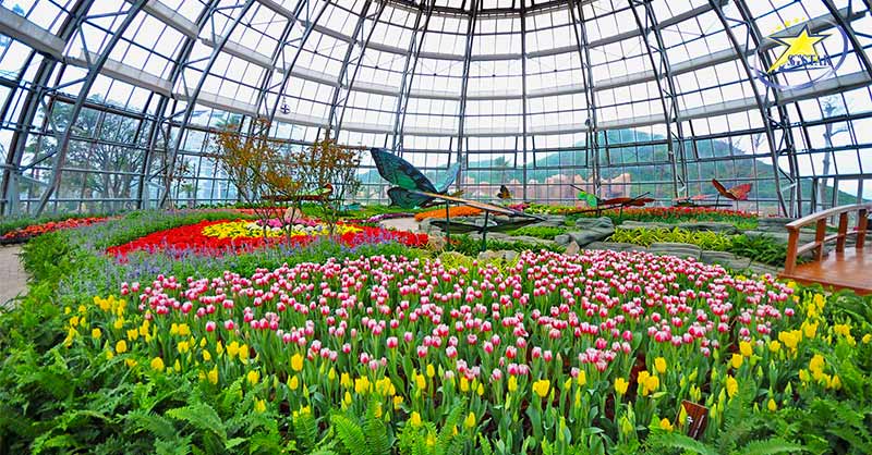 Phá đảo công viên nước Vinpearl Nha Trang | Saigon Star Travel Tham quan Đồi Vạn Hoa - Vin Wonders