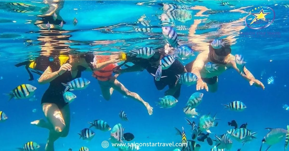 Ngắm thế giới tuyệt đẹp dưới mặt nước