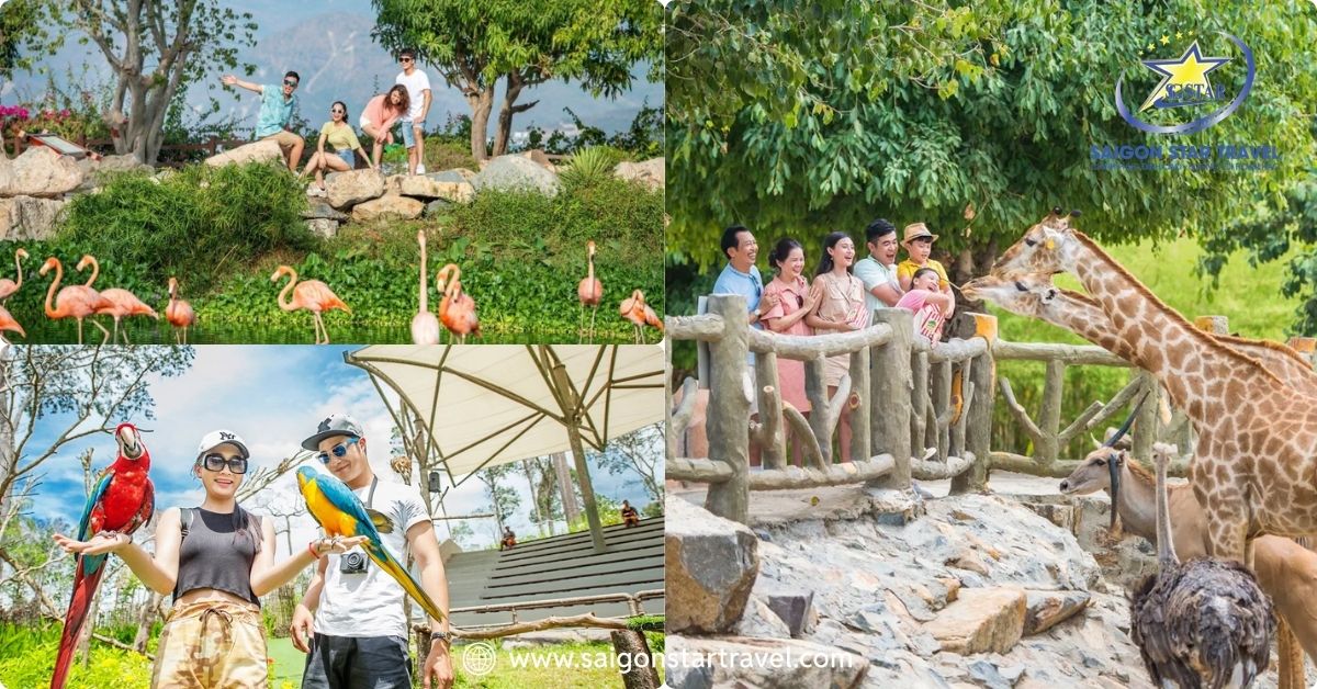 Những loài động vật thông minh và thân thiện trong vườn thú