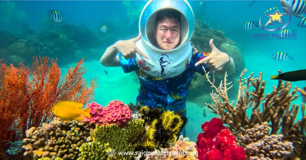 Trải nghiệm đi dạo dưới đáy đại dương rực rỡ màu sắc ở Hòn Mun